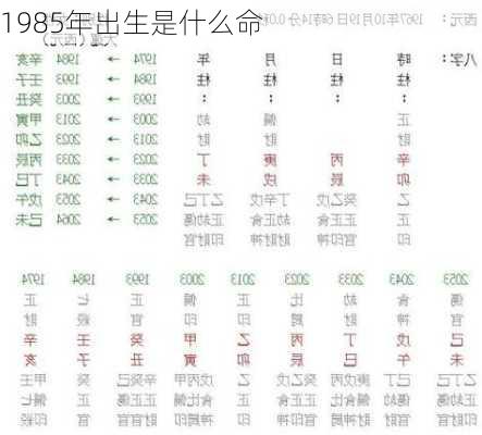 1985年出生是什么命