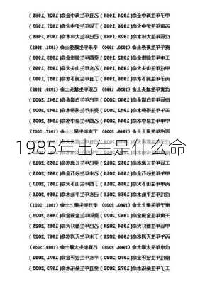 1985年出生是什么命