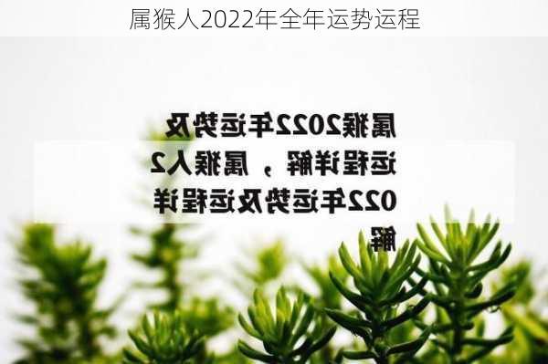 属猴人2022年全年运势运程