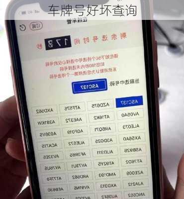 车牌号好坏查询