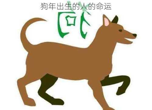 狗年出生的人的命运