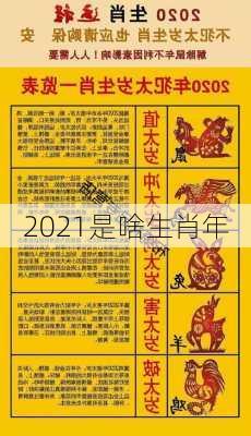 2021是啥生肖年