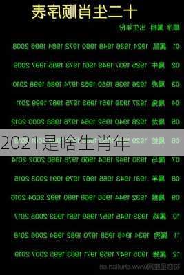 2021是啥生肖年