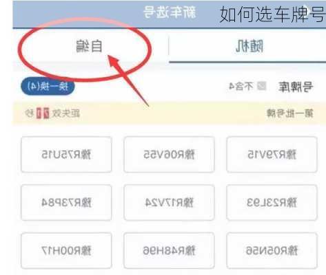 如何选车牌号