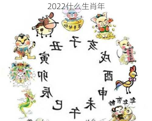 2022什么生肖年