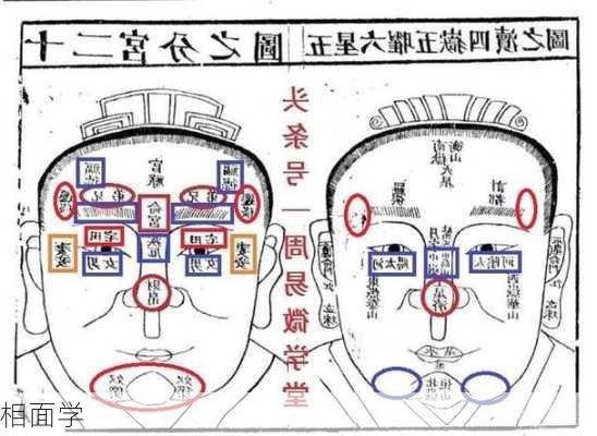 相面学