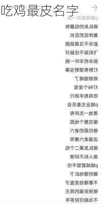 吃鸡最皮名字