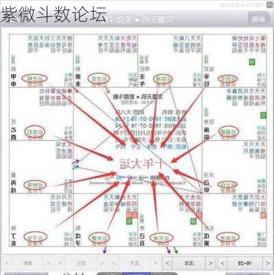 紫微斗数论坛