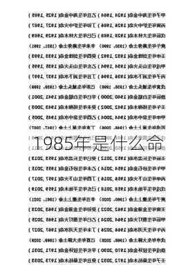 1985年是什么命