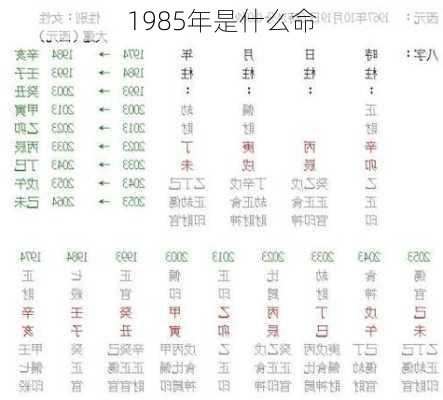 1985年是什么命