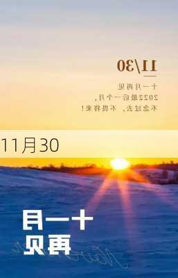 11月30