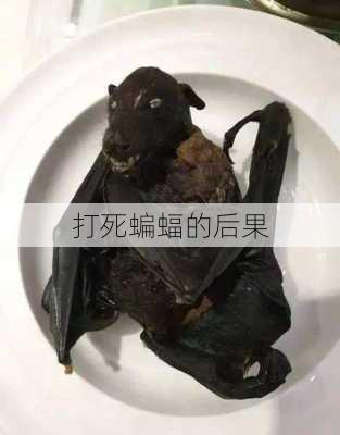 打死蝙蝠的后果