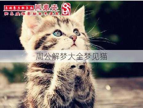 周公解梦大全梦见猫