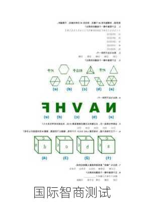 国际智商测试