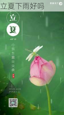 立夏下雨好吗