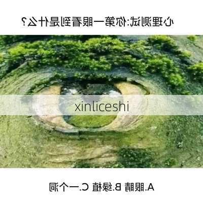 xinliceshi