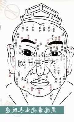 脸上痣相图