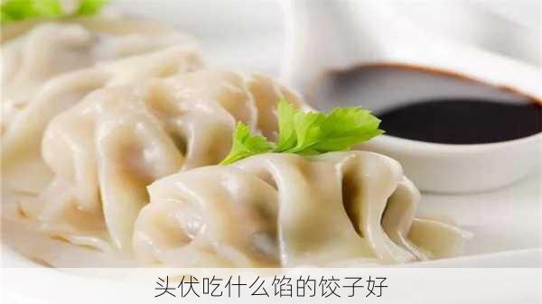 头伏吃什么馅的饺子好