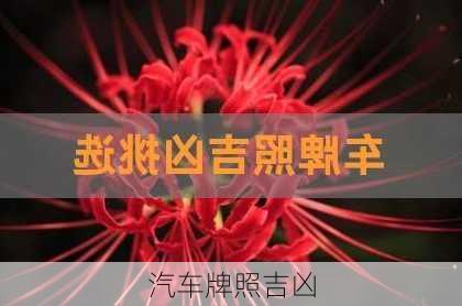 汽车牌照吉凶