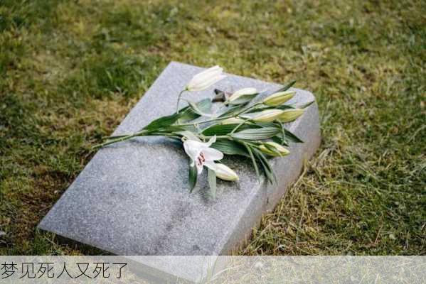 梦见死人又死了