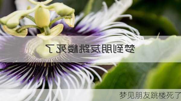 梦见朋友跳楼死了