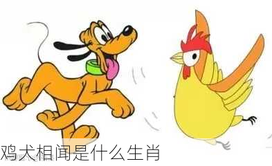 鸡犬相闻是什么生肖