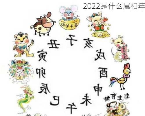 2022是什么属相年