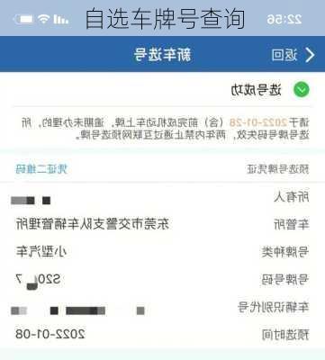 自选车牌号查询