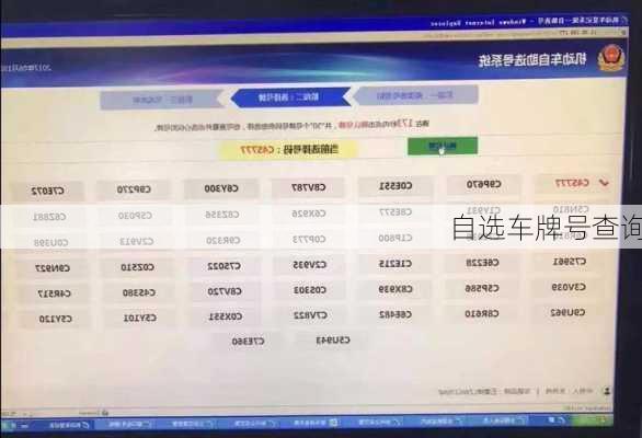 自选车牌号查询
