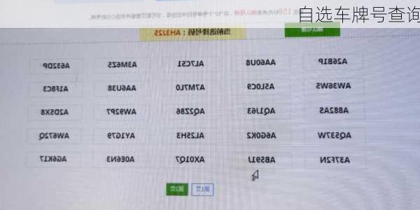 自选车牌号查询
