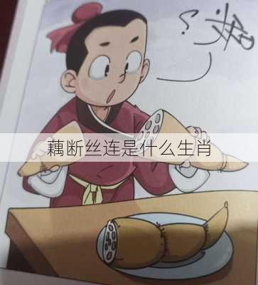 藕断丝连是什么生肖