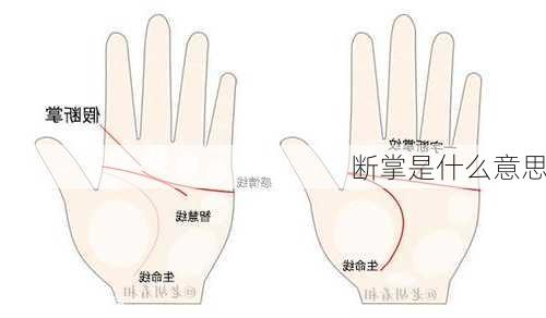 断掌是什么意思