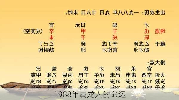 1988年属龙人的命运