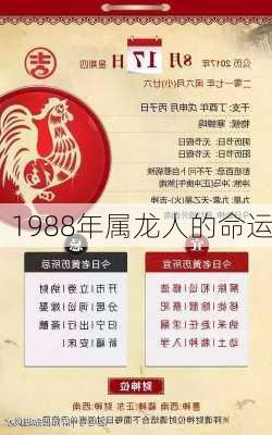 1988年属龙人的命运