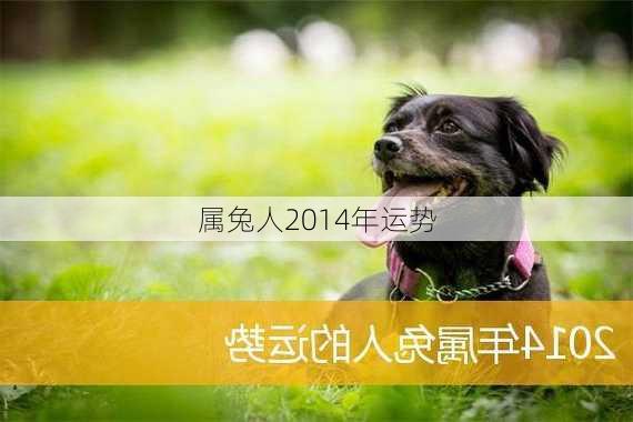 属兔人2014年运势