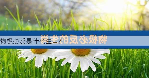 物极必反是什么生肖?