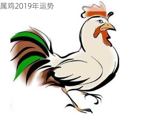 属鸡2019年运势