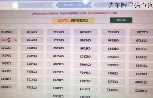 选车牌号码查询