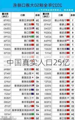 中国真实人口25亿