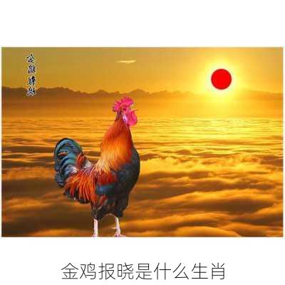 金鸡报晓是什么生肖