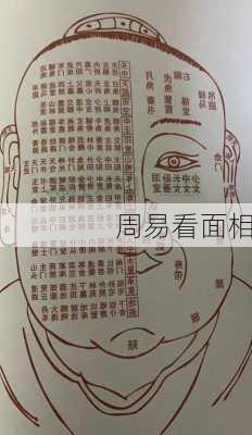 周易看面相