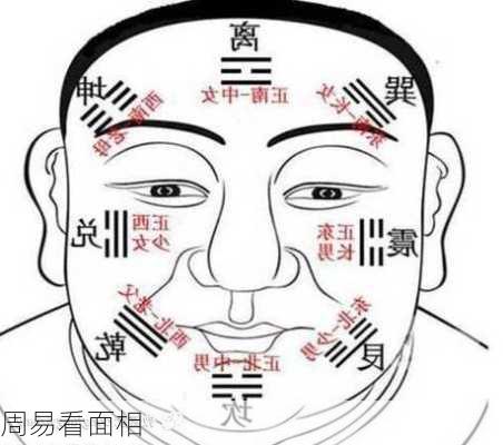 周易看面相