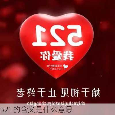 521的含义是什么意思