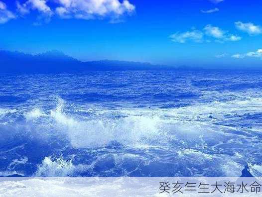 癸亥年生大海水命