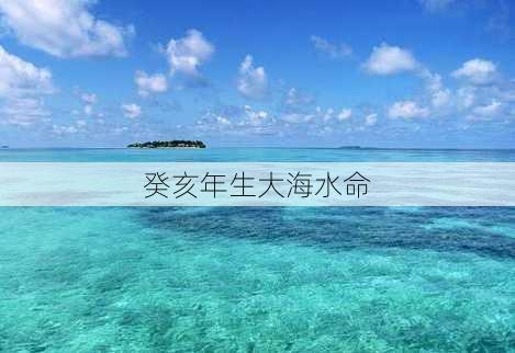 癸亥年生大海水命