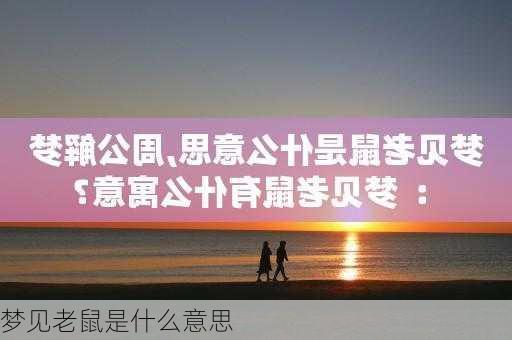 梦见老鼠是什么意思