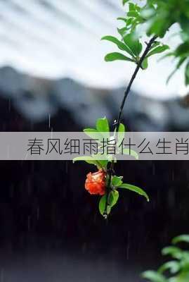 春风细雨指什么生肖