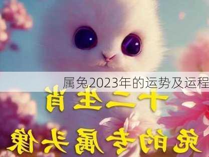 属兔2023年的运势及运程