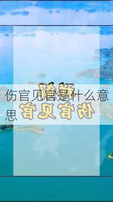 伤官见官是什么意思