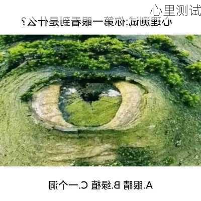 心里测试